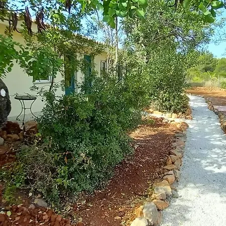 Bed & Breakfast Amanaya