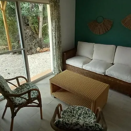 Amanaya